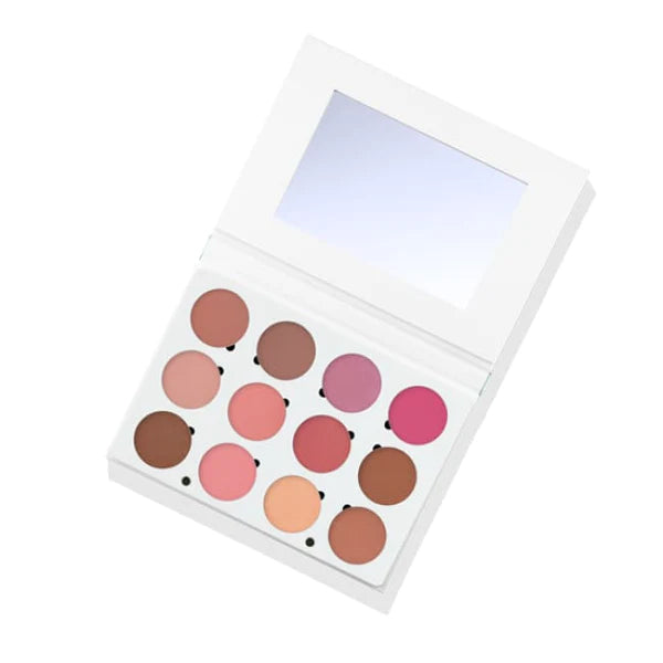 Ofra professional blush palette