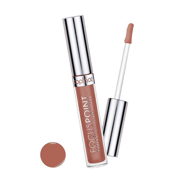 Focus Point Perfect Gleam Lipgloss 111