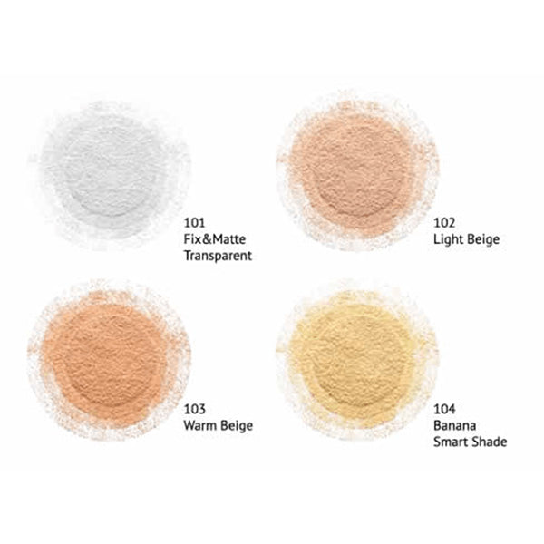 Instyle Loose Powder 102