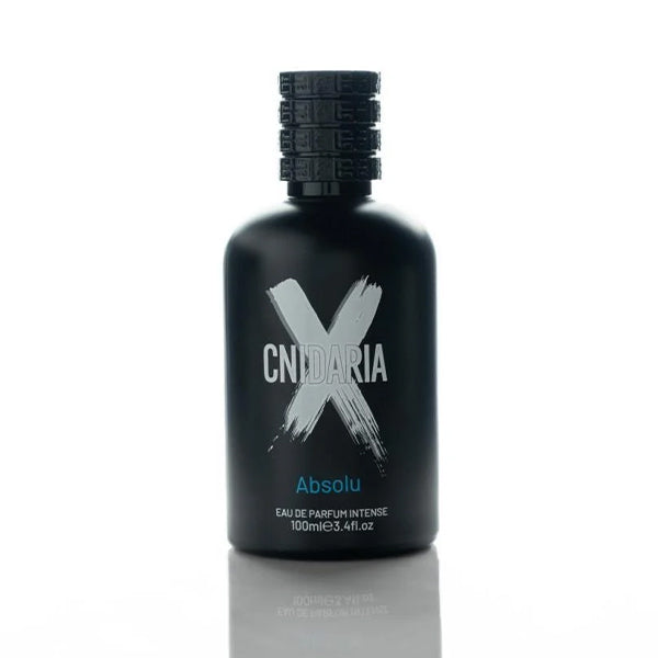 Cnidaria X Absolu