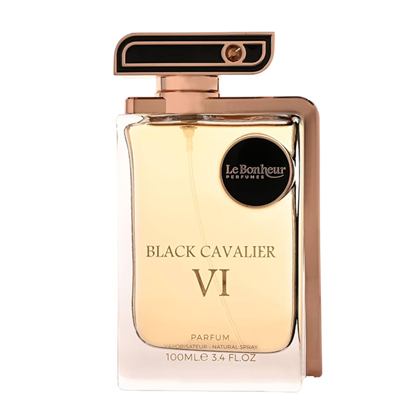 Black Cavalier VI