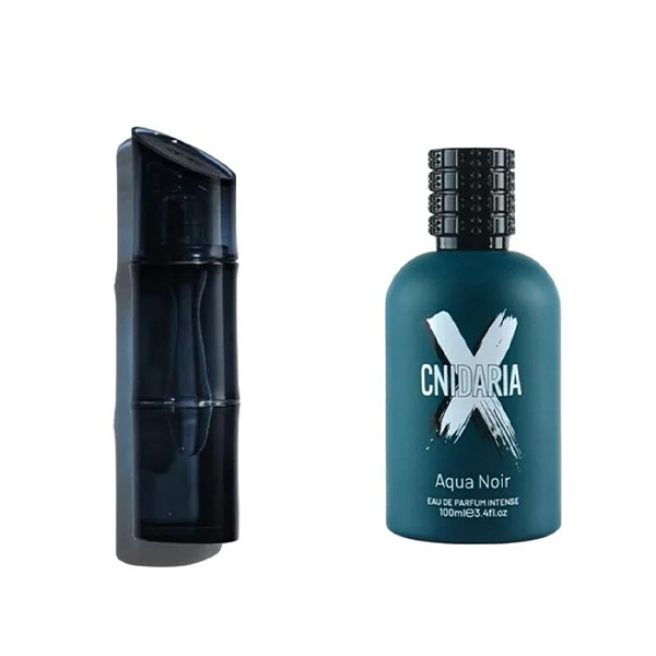 Cnidaria X Aqua Noir