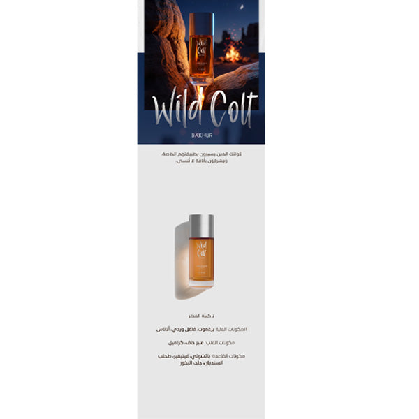 Wild Colt Bakhur Assaf