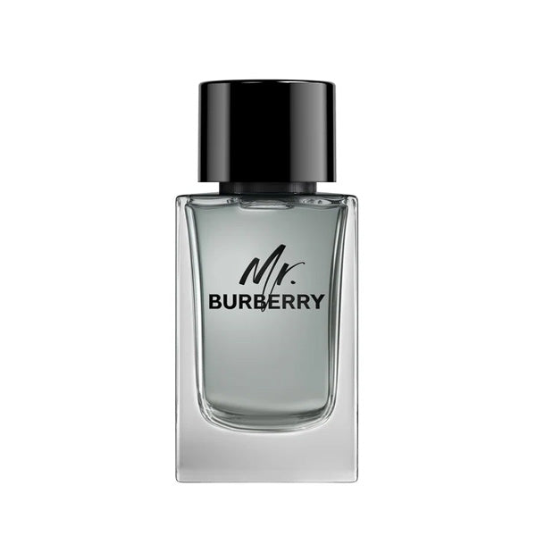 Mr. Burberry Indigo