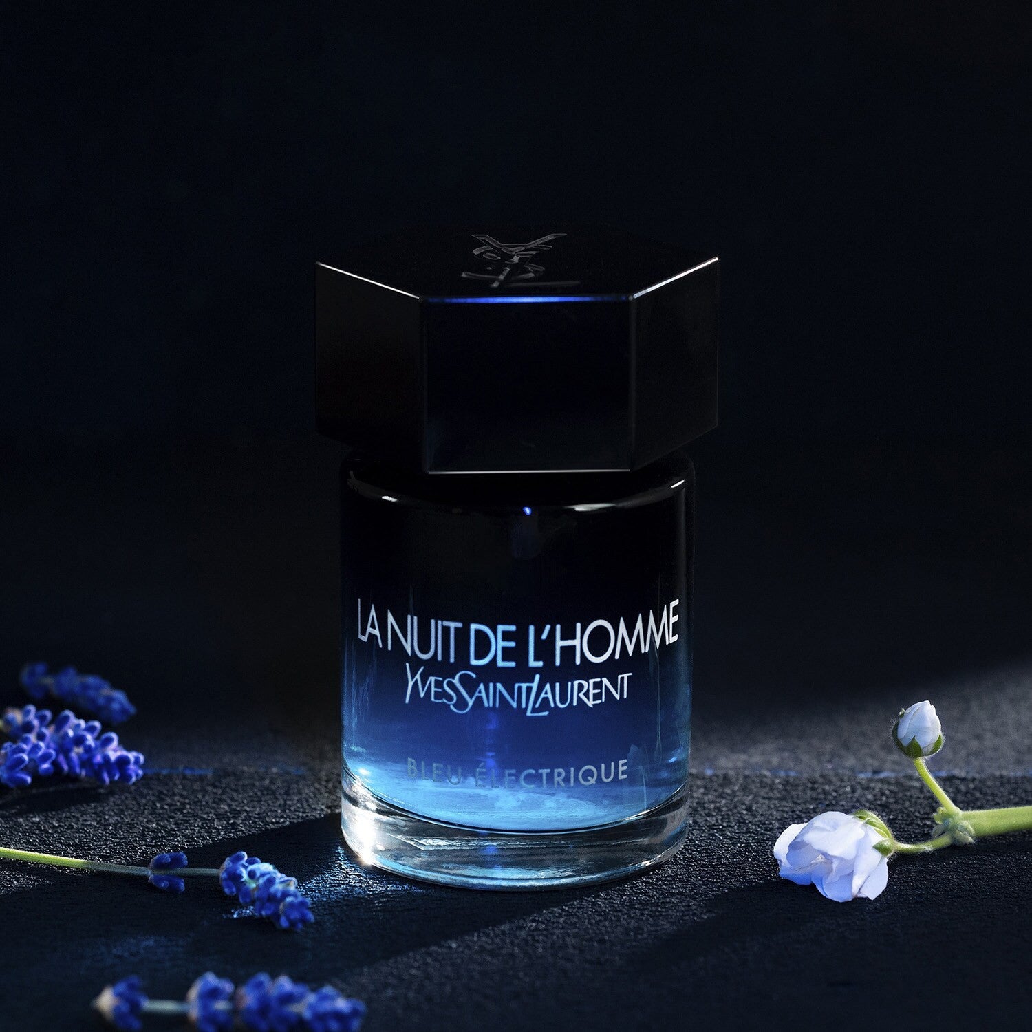 LA NUIT DE L'HOMME BLEU ELECTRIQUE
