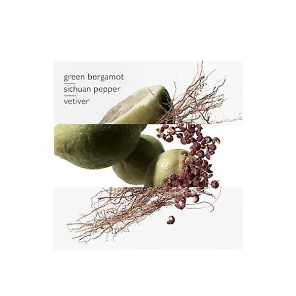 Hermes Terre d'Hermes Eau Intense Vetiver